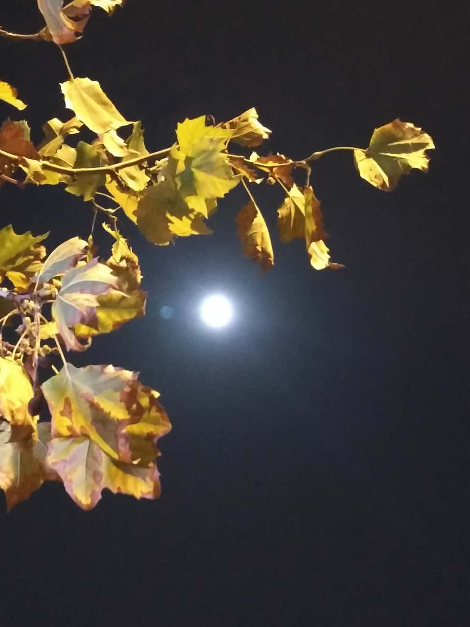 webwxgetmsgimg (10).jpg