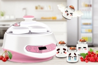 第三档奖品-九阳酸奶机（双11深夜场23：00）